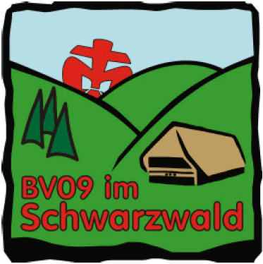 Bundesversammlung 2009