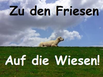 friesenwiesen